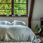 Dzikie Historie Mlynik * Sorkwity