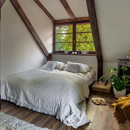 Dzikie Historie Mlynik *