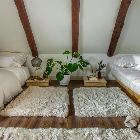 Dzikie Historie Mlynik *